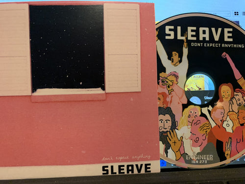 Sleave ‎– Don't Expect Anything CDr