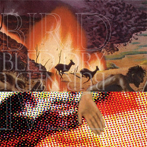Burned Up Bled Dry / Deadbird split 7" record