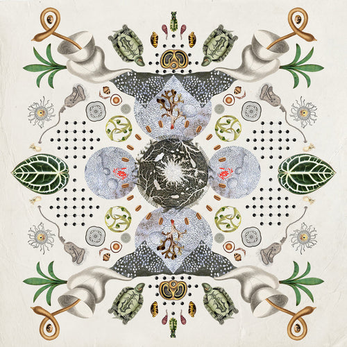 Grykë Pyje – Fragments Of High Sensitivity LP