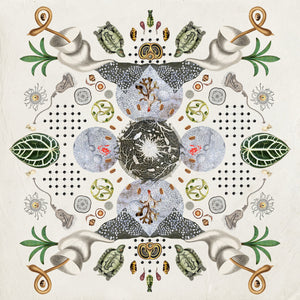 Grykë Pyje – Fragments Of High Sensitivity LP