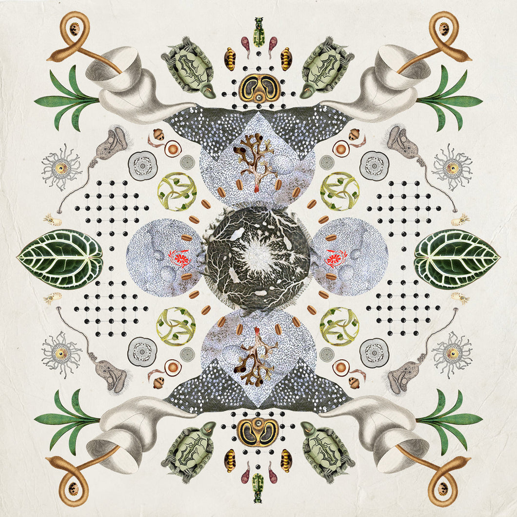 Grykë Pyje – Fragments Of High Sensitivity LP