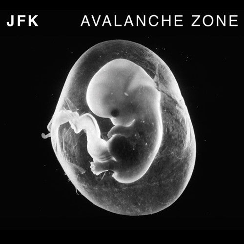 JFK - Avalanche Zone CD