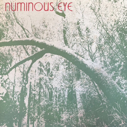 Numinous Eye ‎– Live / Studio LP