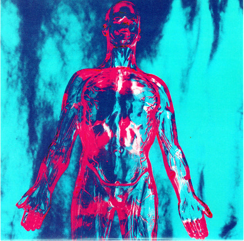 Nirvana – Sliver / Dive 7