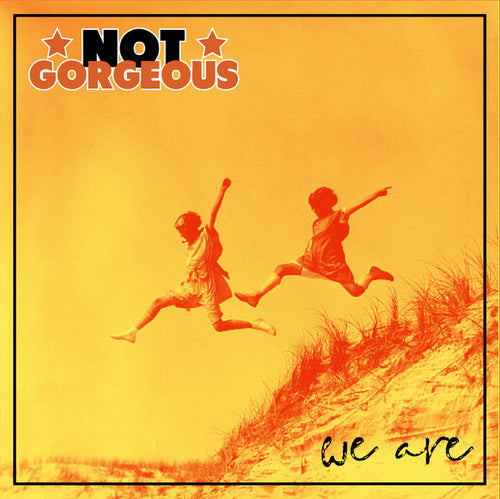 Not Gorgeous – We Are LP