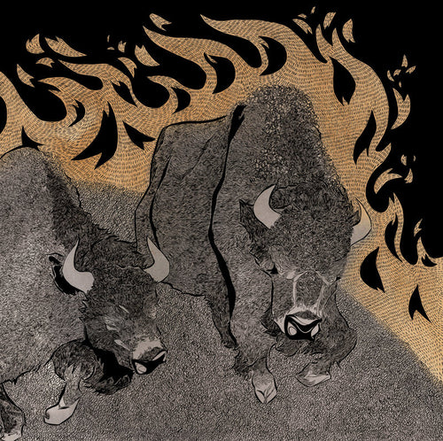 Pine Barrens – Kingmaker lp