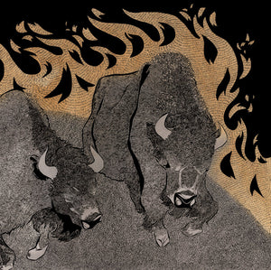 Pine Barrens – Kingmaker lp