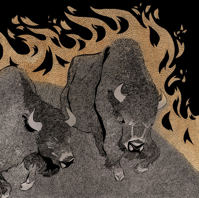 Pine Barrens – Kingmaker lp