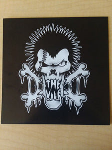 The Vile – Fear Of The Truth 7" record