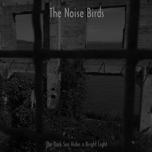 The Noise Birds ‎– The Dark Sea Hides A Bright Light LP