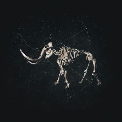 Anímic – Hannibal lp