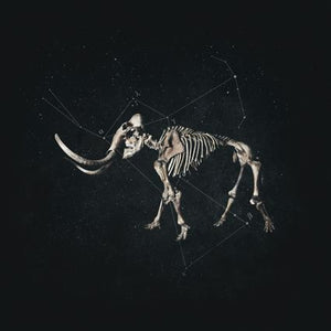 Anímic – Hannibal lp