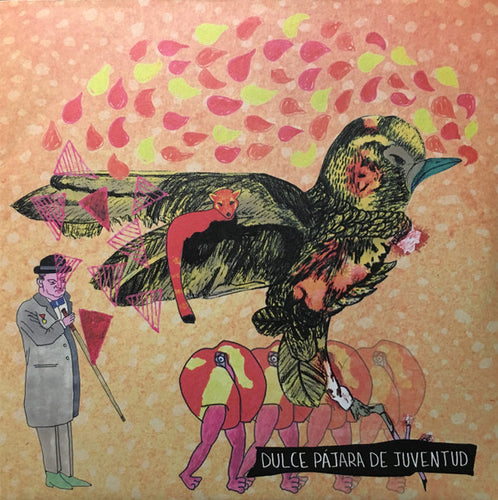 Dulce Pájara De Juventud s/t lp