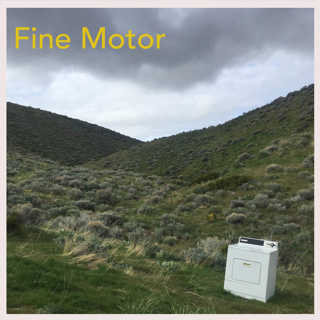 Fine Motor s/t lp - The edges of the cover have very light wear from shipping to the vendor