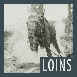 Loins s/t 12" ep - The top spine has a split and the edges of the cover have very light wear from shipping to the vendor