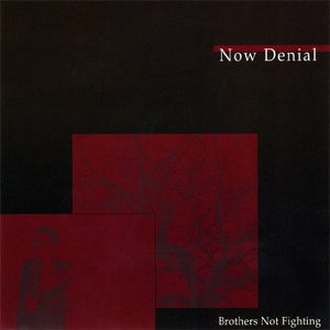 Now Denial ‎– Brothers Not Fighting 7"