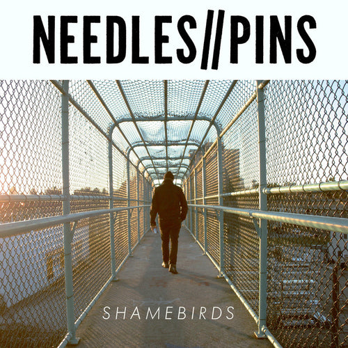 Needles//Pins – Shamebirds lp