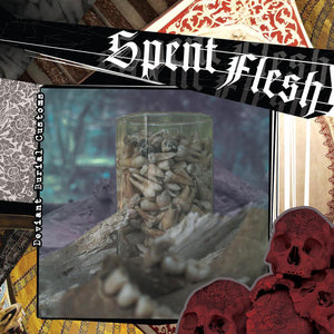Spent Flesh ‎– Deviant Burial Customs 7"