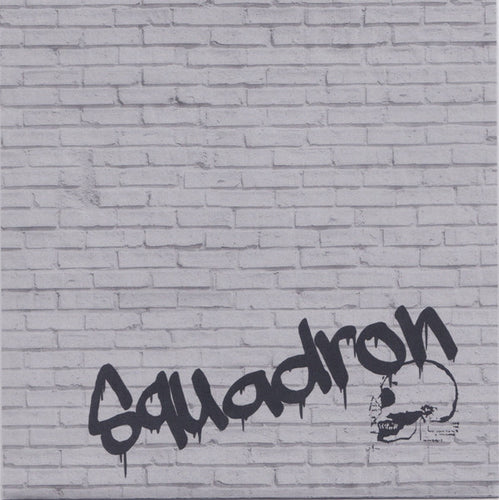 Squadron – My Other Brother Darryl flexi