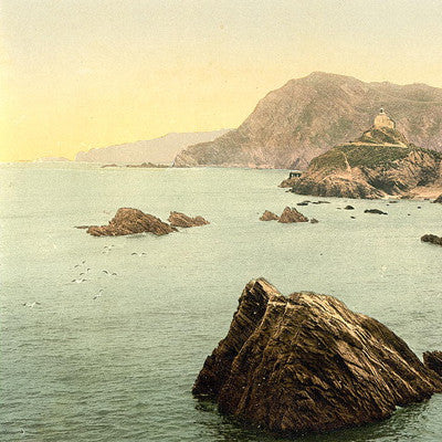 Warning Light - Wild Silver cd